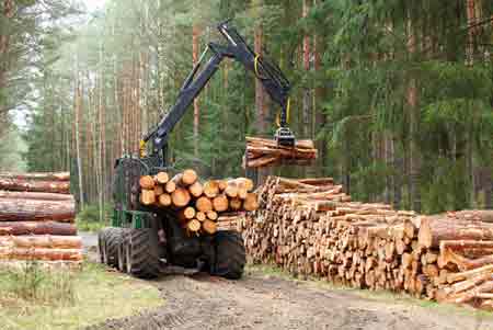 Forest Equipment Asset Finance